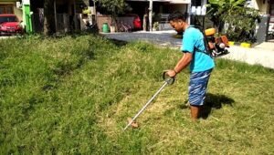 mesin pemotong rumput asli bagus