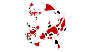 Membangun Ekosistem Seimbang dengan Koleksi Ikan Hias