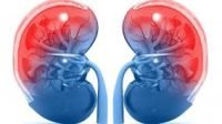 Faktor Penyebab Penurunan Fungsi Ginjal dan Cara Efektif Mencegahnya