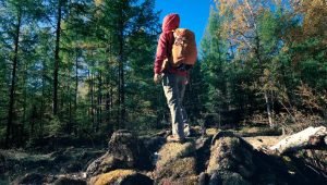 Preferensi Perjalanan Wisatawan Indonesia: Temuan Terbaru dari Studi