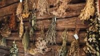 Menjual Herbal di E-Commerce: Tips untuk Meningkatkan Kepercayaan Konsumen
