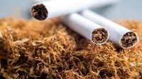 Pengeluaran Keluarga untuk Rokok Hampir Setara dengan Biaya Protein Hewani: Temuan Menarik