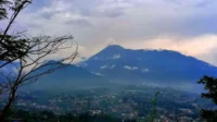 13 Pihak Tanggung Jawab Perusakan Puncak Bogor