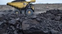 Krisis Batu Bara Kalori Tinggi di Indonesia