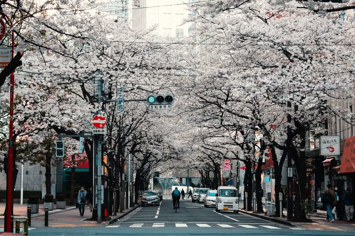 Turis Batalkan Liburan ke Jepang Karena Ramalan