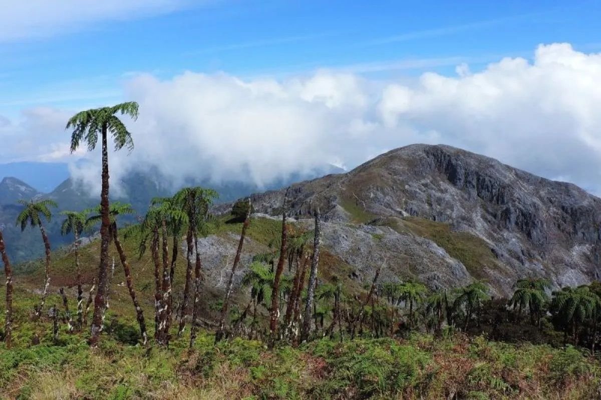 Pendaki Bogor Hilang di Gunung Binaiya