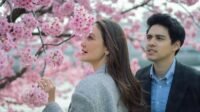Lamaran Romantis di Jepang Saat Sakura Mekar