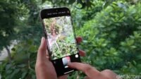 iPhone 16 Kembalikan Keindahan Foto dan Video Klasik Era 60-an