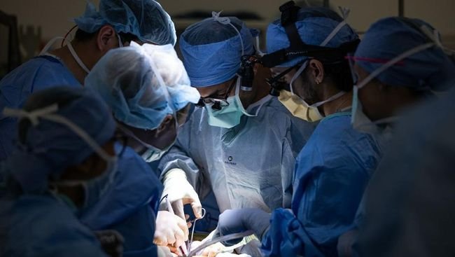Dokter AS Berhasil Transplantasi Kandung Kemih Pertama di Dunia
