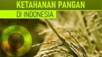 Politik Ketahanan Pangan: Fondasi Kedaulatan dan Stabilitas Nasional