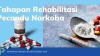 Politik Rehabilitasi Narkoba: Antara Pendekatan Kesehatan dan Keamanan Nasional
