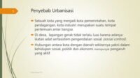Politik Urbanisasi: Membentuk Kota, Mempengaruhi Negara
