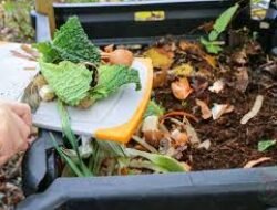 Cara Membuat Kompos Sendiri Dari Sampah Dapur Agar Lingkungan Menjadi Lebih Bersih